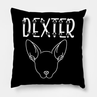 Dog name design for your puppy Dexter Pillow