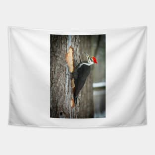 Piletated Woodpecker Tapestry