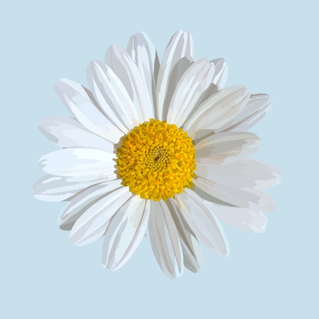 White marguerite blossom on light blue by A_using_colors