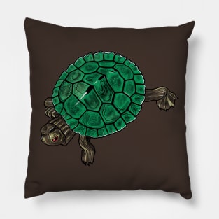 Turtle Pillow