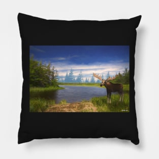 Edge of the Lake Pillow