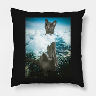 Curious Cat Pillow