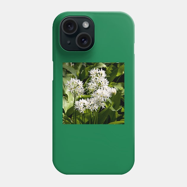 Wild garlic Phone Case by Violaman