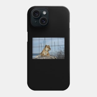 Liger Phone Case