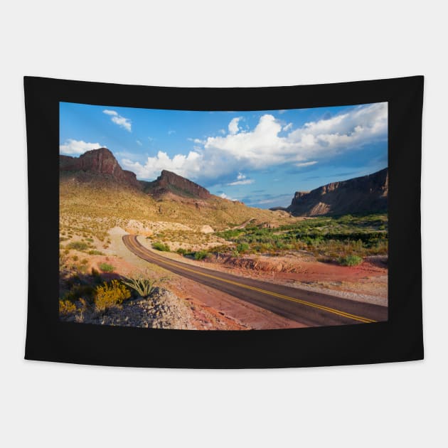 Sunset in Big Bend National Park, Texas, USA Tapestry by auradius