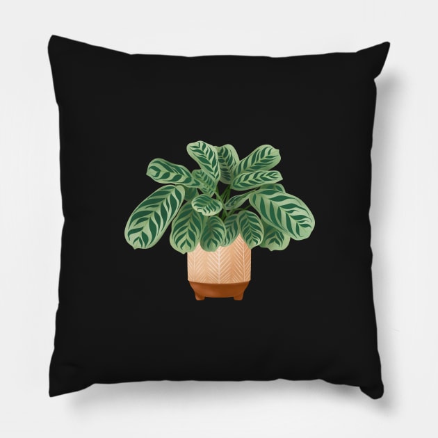 Calathea Burle-Marxii Amabilis, Calathea Plant Illustration Pillow by gusstvaraonica