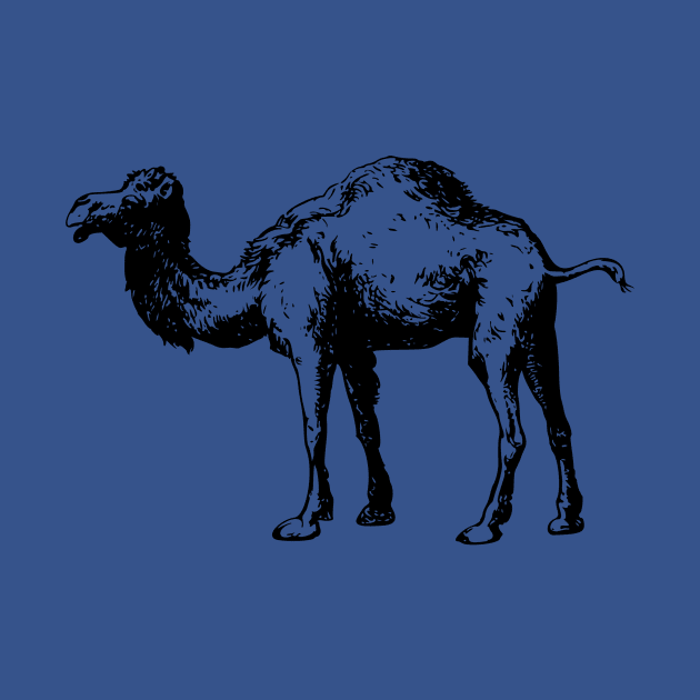 Camel by scdesigns