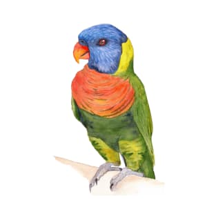 rainbow lorikeet parrot australian bird watercolor T-Shirt