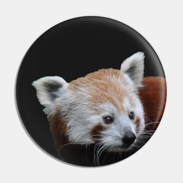 Cute Red bear- panda Pin by zaiynabhw