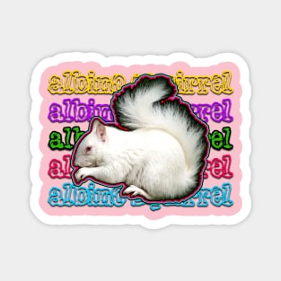 albino squirrel Magnet