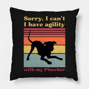 Sorry, I can't, I have agility with my Pinscher Pillow