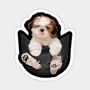 Shih tzu with love Magnet