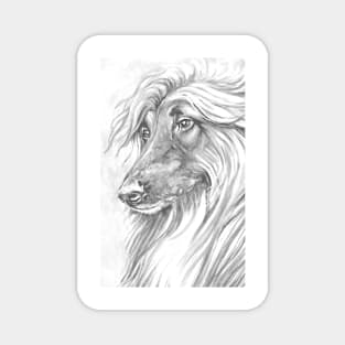 Afghan Hound Head in greyscale. Magnet