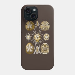 Ernst Haeckel Echinidea Sea Urchin Phone Case