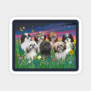 7 Shih Tzus in a Moon Lit Garden Magnet