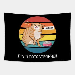 It's a catastrophe!! Tapestry