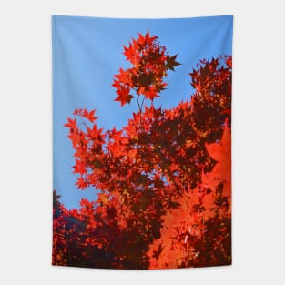 Red Tree Blues Tapestry