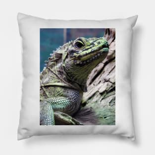 Sailfin Lizard Pillow