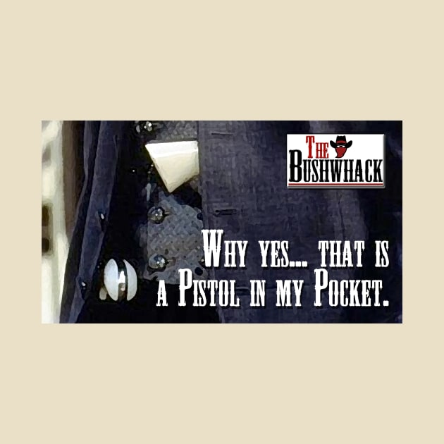 Pistol In My Pocket by Bushwhackers