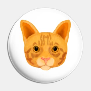 Ginger cat Pin