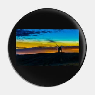 Windmill Sunset Pin