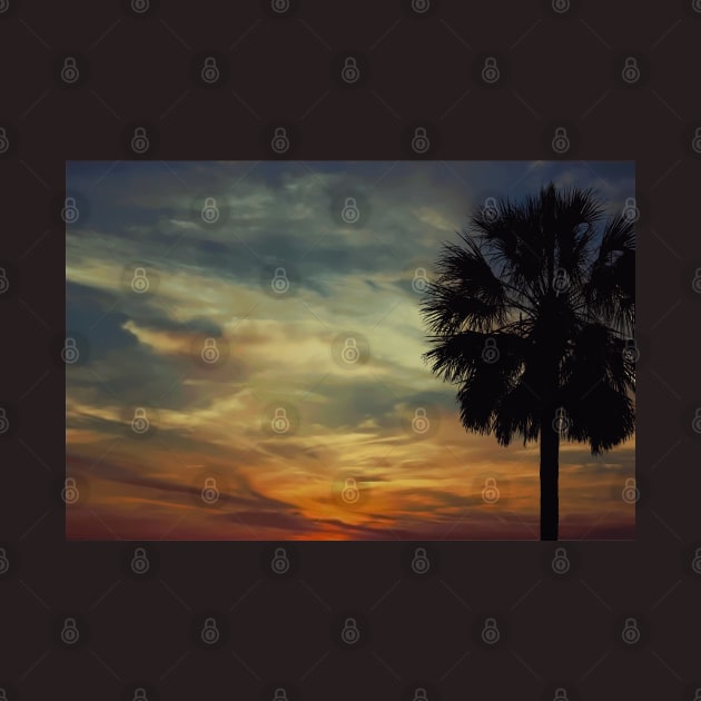 Florida sunset with Palm Tree by AdrianaHolmesArt