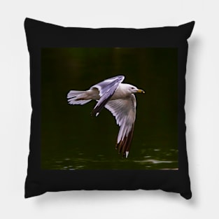 A Gull Flying Over a Lake Pillow