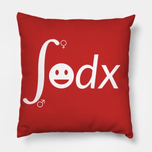 Funny Integral Pillow