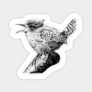 Wren bird ink painting Magnet