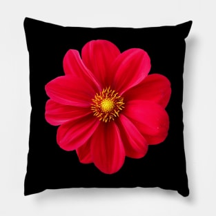 Red Dahlia Pillow