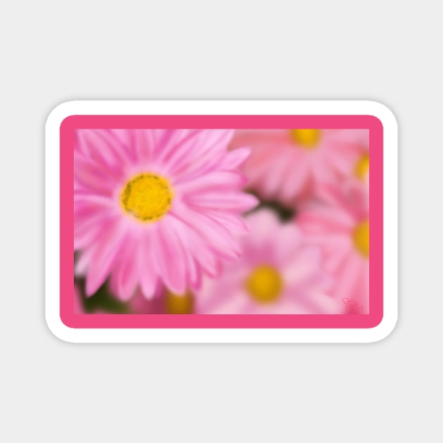 Airbrushed Pink Flowers Magnet by tooner96