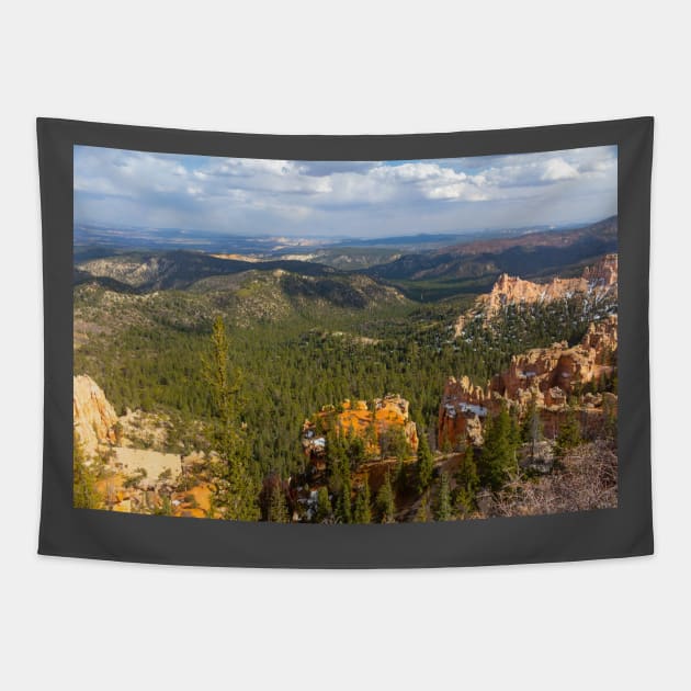 Bryce Canyon View 26 Tapestry by Rob Johnson Photography