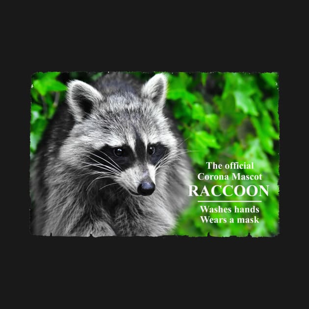 Corona mascot - Raccoon by DeVerviers