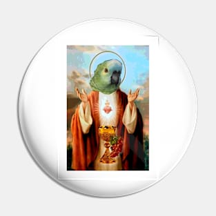 Jesus parrot 2 Pin