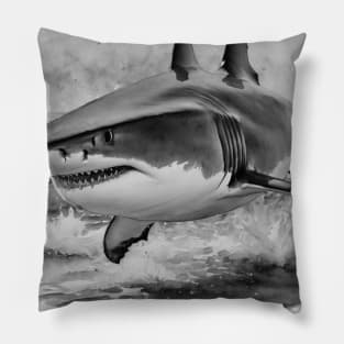 Shark playing Pillow