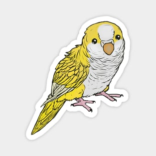 Yellow quaker parrot Magnet