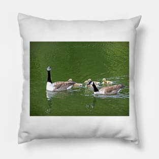 Canada Geese Pillow