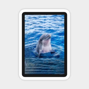 I Love Dolphins Magnet