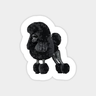 Toy Poodle Gorgeous Dog Magnet