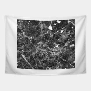 Black and white marble Tapestry