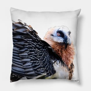 Bearded Vulture / Swiss Artwork Photography Pillow
