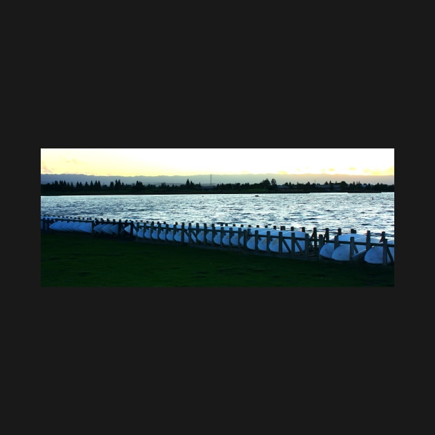 Surfboards resting. Shoreline Park, Mountain View, California 2009 by IgorPozdnyakov