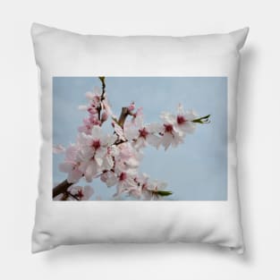 Almond Blossom Pillow