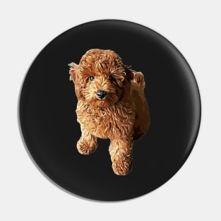 Poodle Puppy Dog- Cutest curls Pin