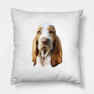 Bracco Italiano The gorgeous look! Pillow