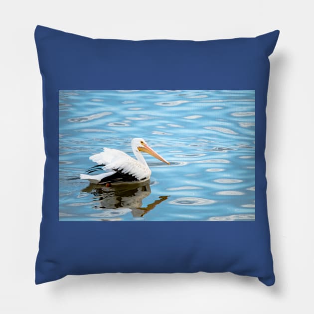 American White Pelican on Blue Water by Debra Martz Pillow by Debra Martz