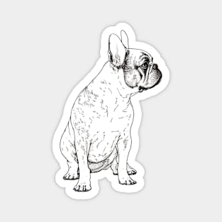 French bulldog sketch Magnet