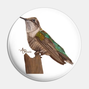 Moon Hummingbird Pin