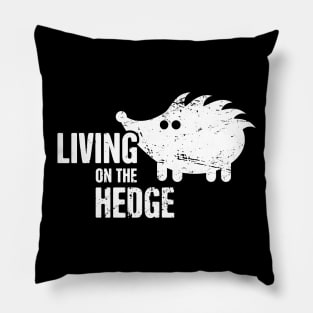 Cute And Funny Pet Hedgehog Graphic Pillow