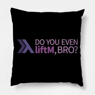 DO YOU EVEN liftM, BRO? Pillow